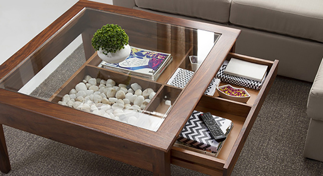 Sata Display Coffee Table(Teak)